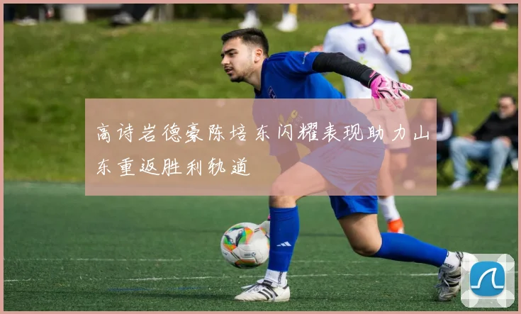 高诗岩德豪陈培东闪耀表现助力山东重返胜利轨道