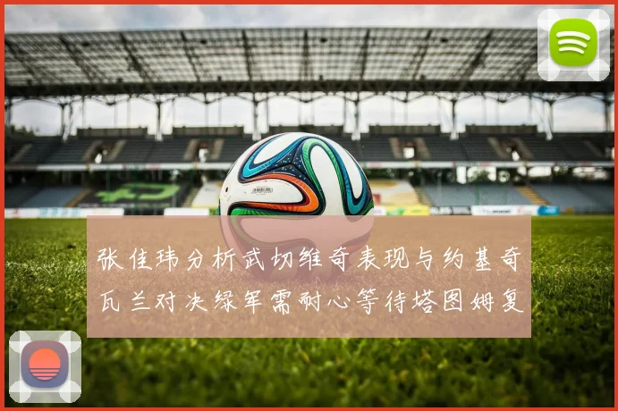 张佳玮分析武切维奇表现与约基奇瓦兰对决绿军需耐心等待塔图姆复出